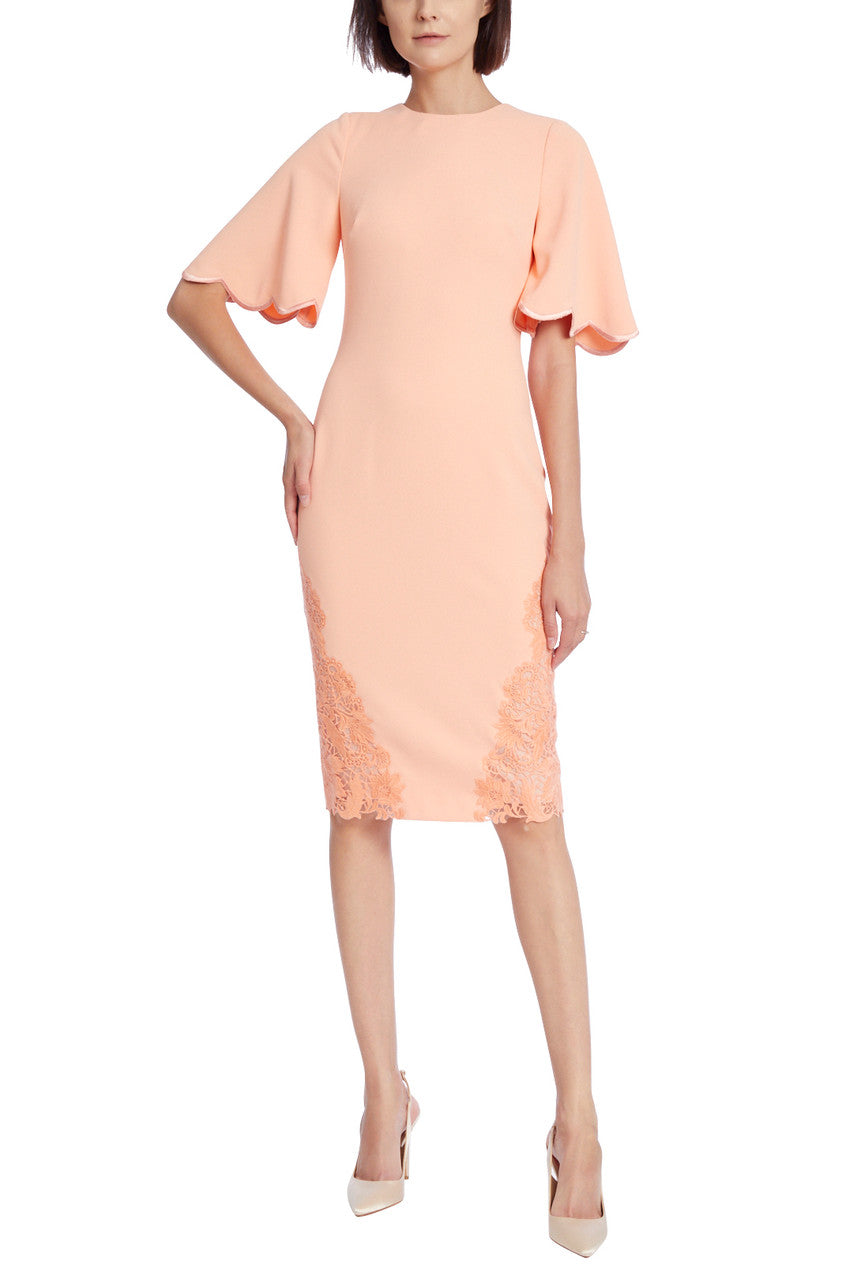 Coral | Lace Trim Sheath with Flutter Sleeves