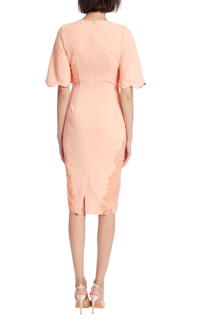 Coral | Lace Trim Sheath with Flutter Sleeves