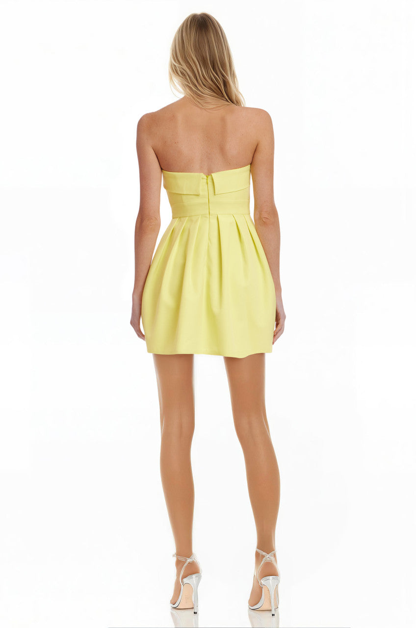 Sunny Yellow | Gael Strapless Fit and Flare Mini Dress Back
